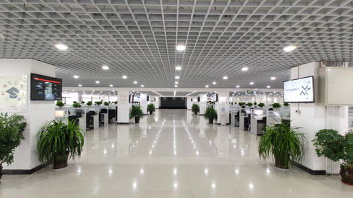 電子商務龍頭企業(yè),發(fā)展空間大,福利待遇優(yōu)