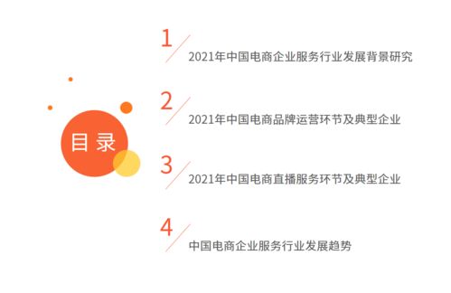 艾媒咨詢 2021年中國電商領(lǐng)域企業(yè)服務(wù)行業(yè)專題研究報(bào)告