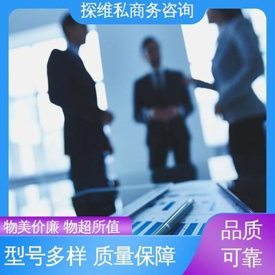 服務優先 其他業務 一對一服務 探維私商務咨詢