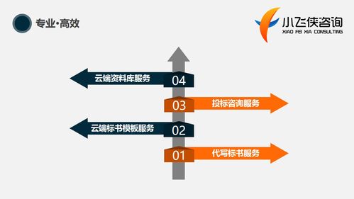 楊浦區2021代做標書 小飛俠咨詢公司