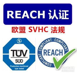 reach測(cè)試要求reach法規(guī)要求是什么reach注冊(cè)產(chǎn)品