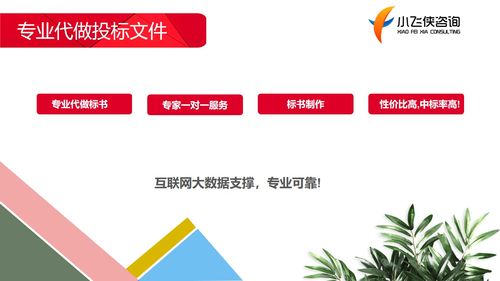 2021天津代寫(xiě)標(biāo)書(shū),價(jià)格500元 小飛俠正規(guī)