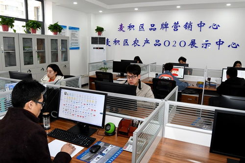 天水市麥積區電子商務公共服務中心揭牌運營