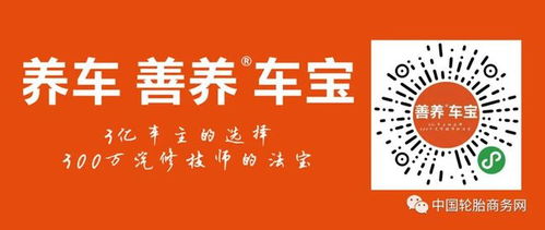 2024新質(zhì)生產(chǎn)力與新能源汽車服務(wù)高峰論壇